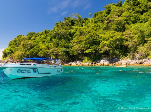 Phi Phi Scuba Diving