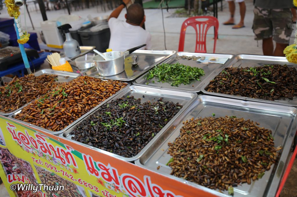 Fried Insects at Chillva Market