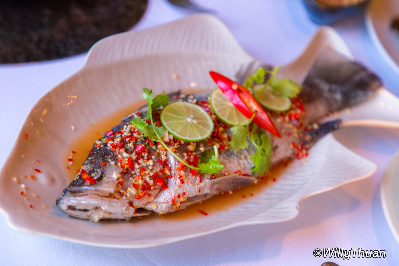 on-the-rock-fish