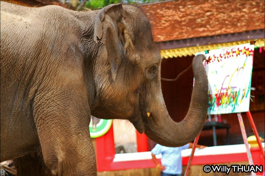 Phuket Zoo