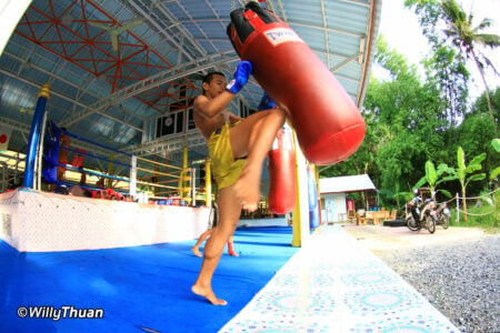 Muay Thai Camps in Phuket