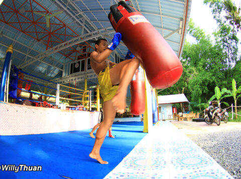 Muay Thai Camps in Phuket