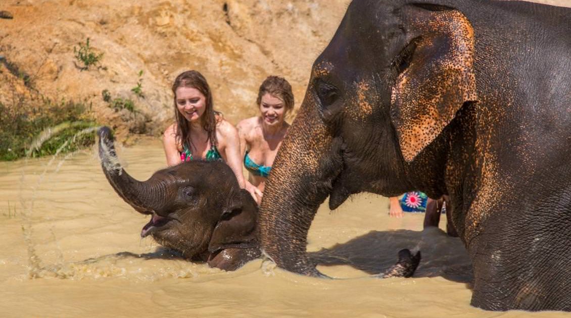 Phuket Elephant Jungle Sanctuary
