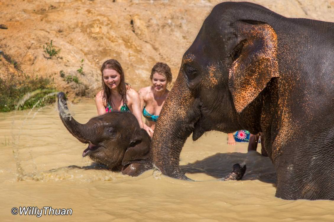 Phuket Elephant Jungle Sanctuary