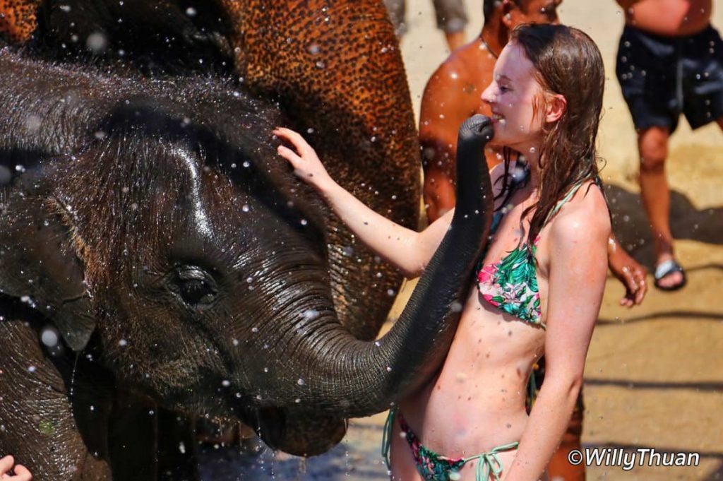 Mud bath with elephants at Elephant Jungle Sanctuary Phuket