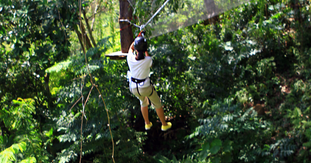 Jungle Xtrem Adventure Park