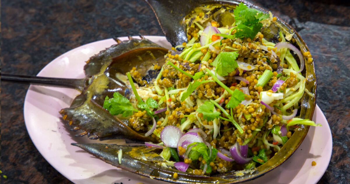 Yum Kai Mangda Talay