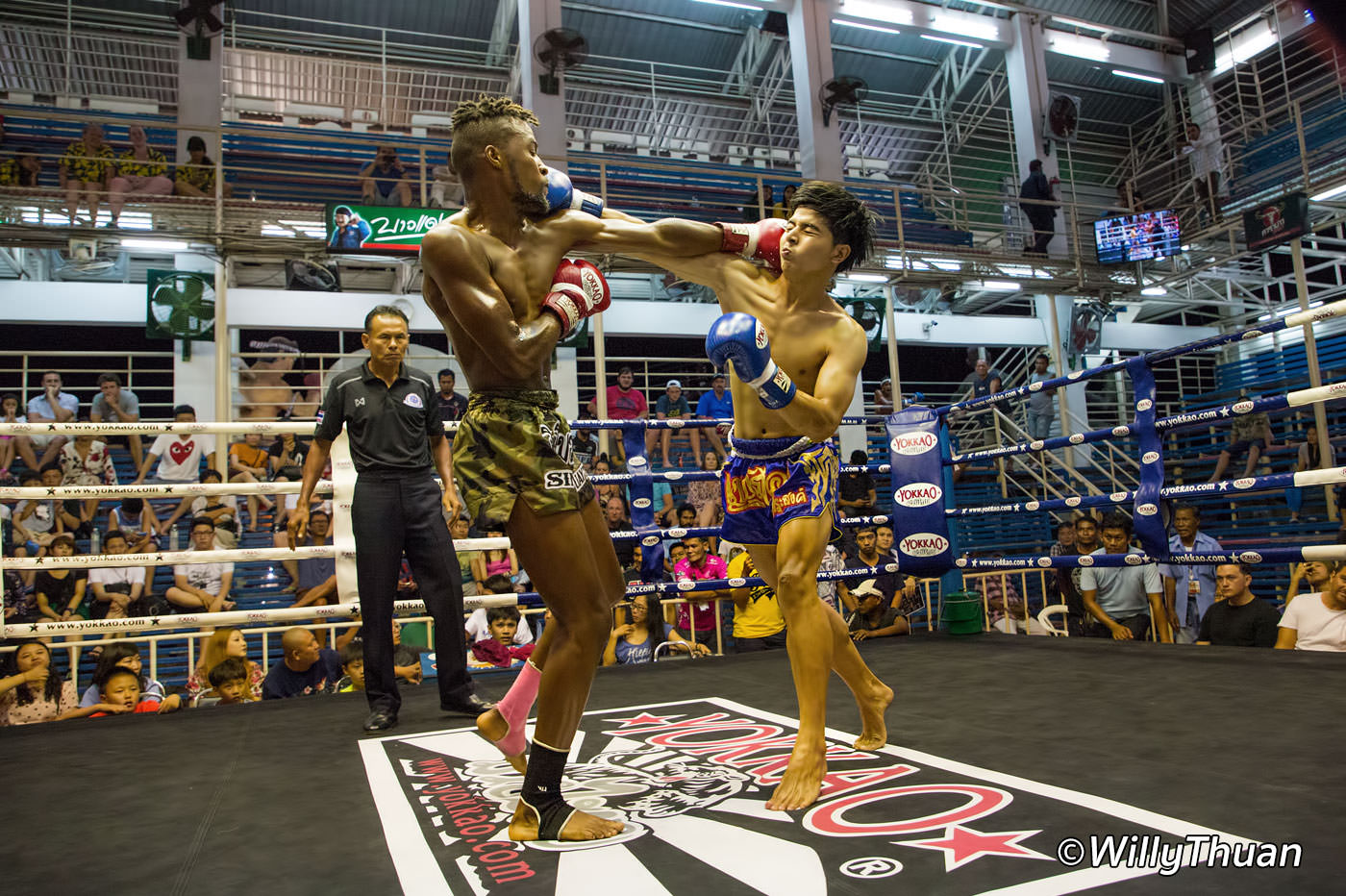 Bangla Boxing Stadium Fights