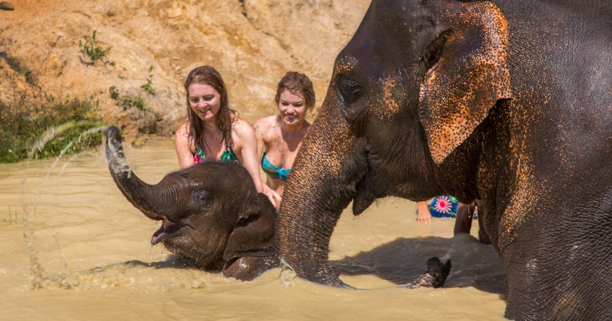 Elephant Jungle Sanctuary Phuket