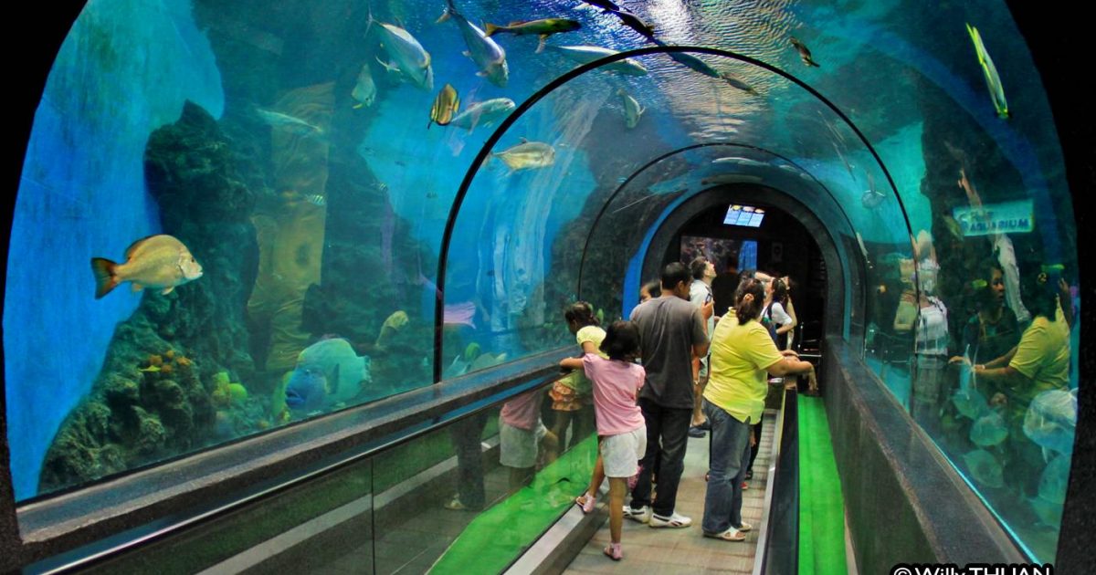 Phuket Aquarium