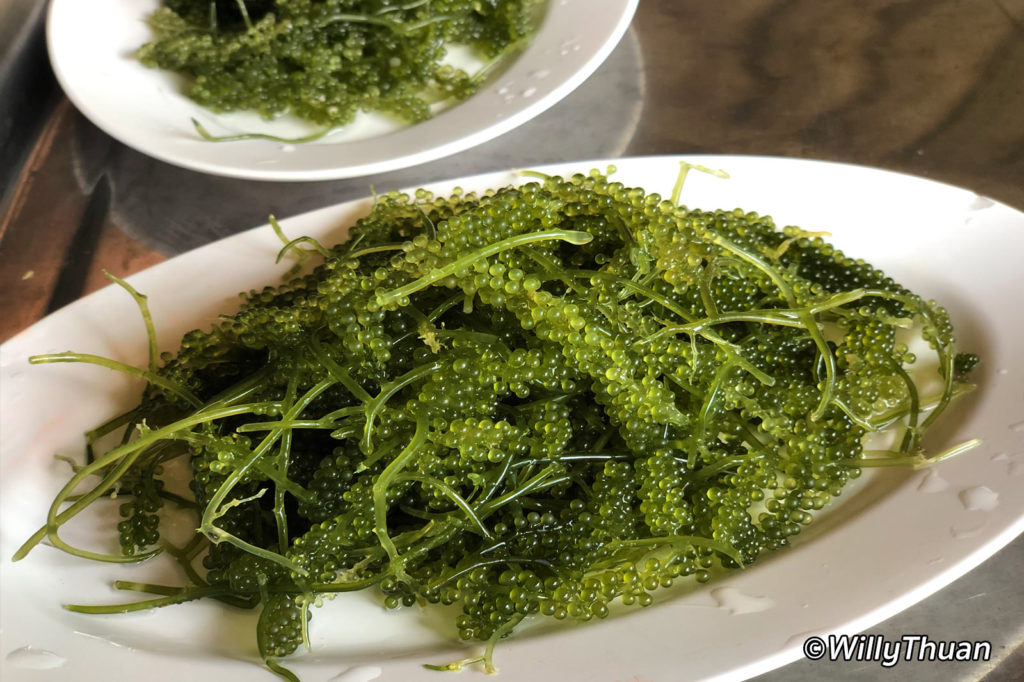 Green Caviar - Caulerpa lentillifera