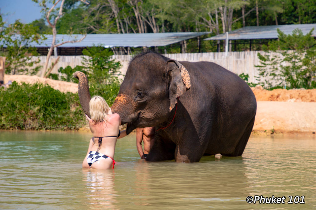 Phuket Elephant Retirement Park