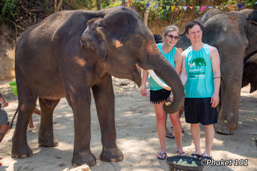 phuket elephant retirement camp 5