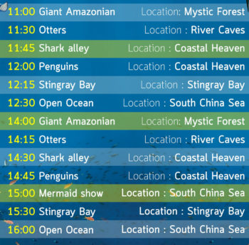 Aquaria feeding schedule