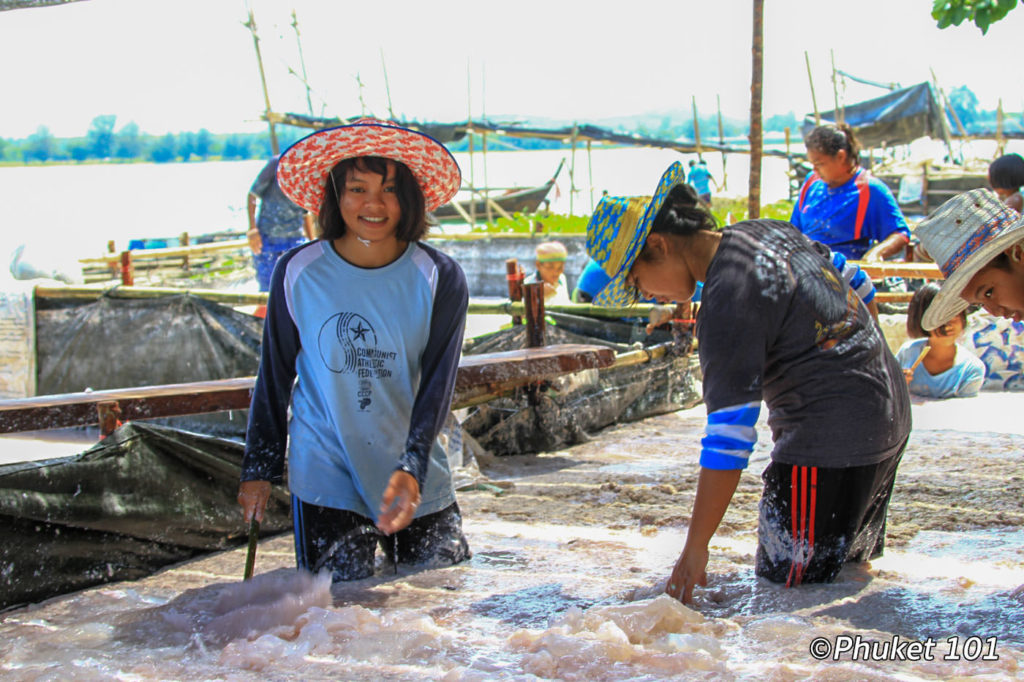 Jellyfish Market in Phuket