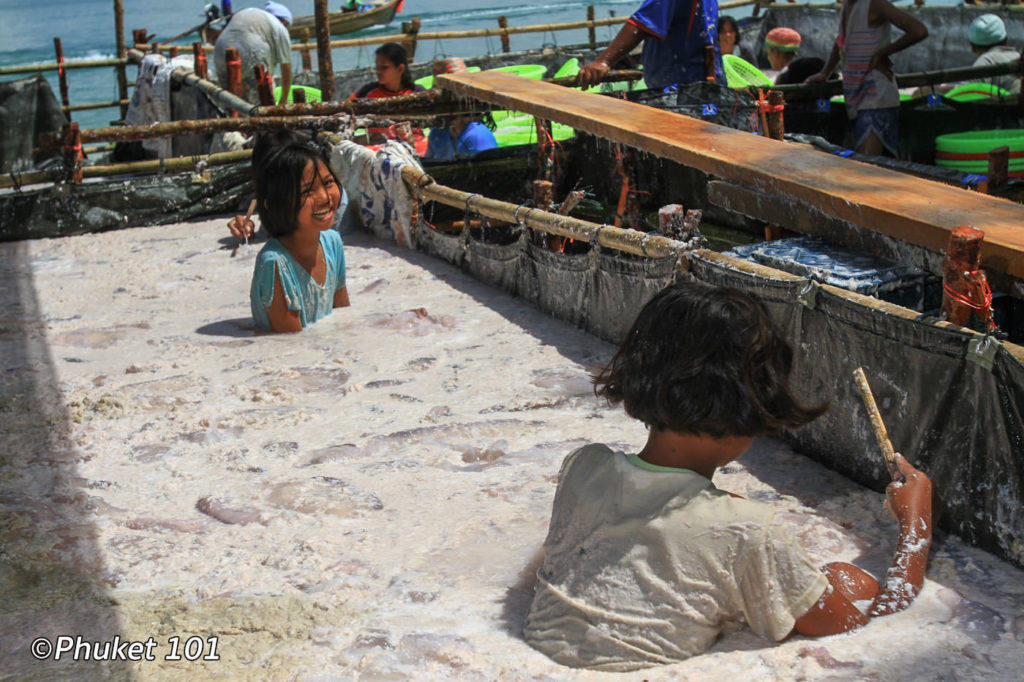 Jellyfish market preparation in Phuket