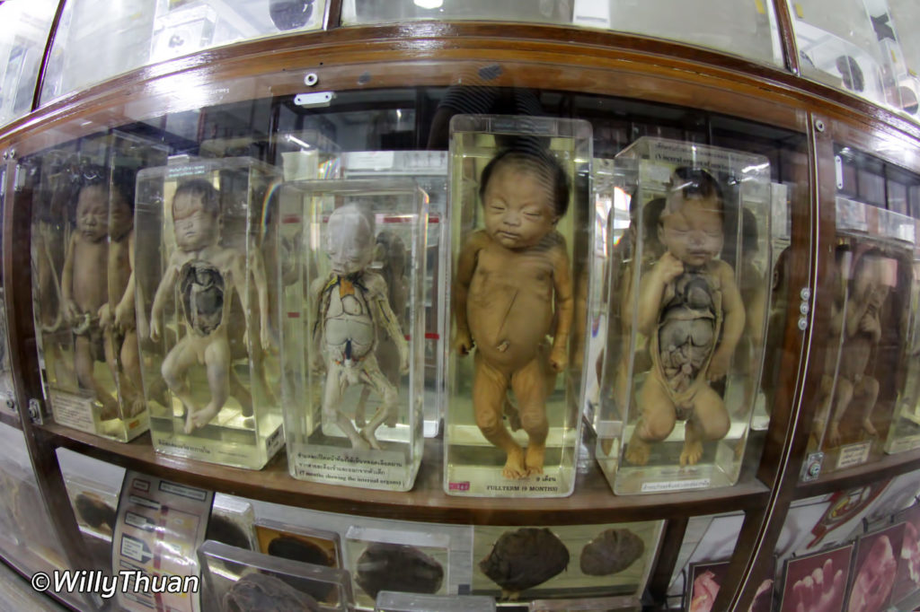 bangkok forensic museum