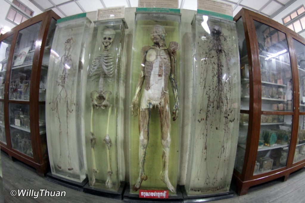 Bangkok Forensic Museum