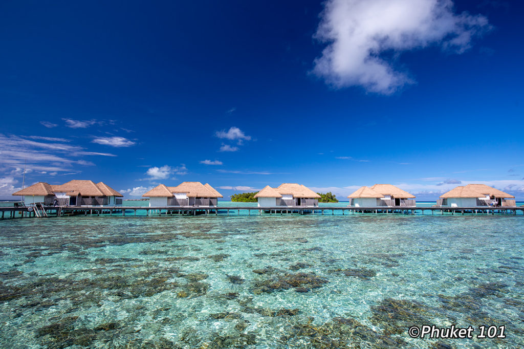 como maalifushi resort maldives 2