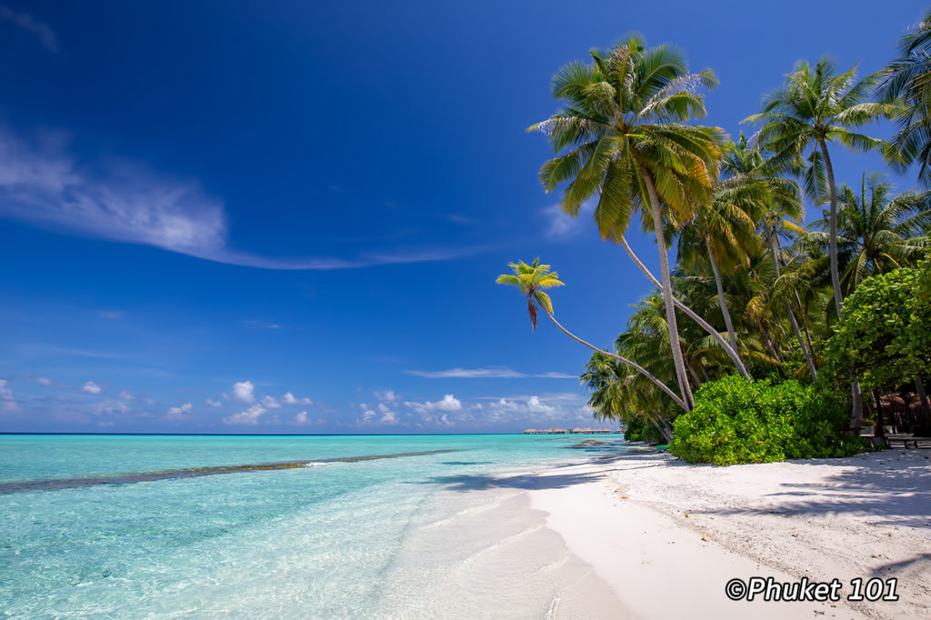 The Maldives, a dream come true