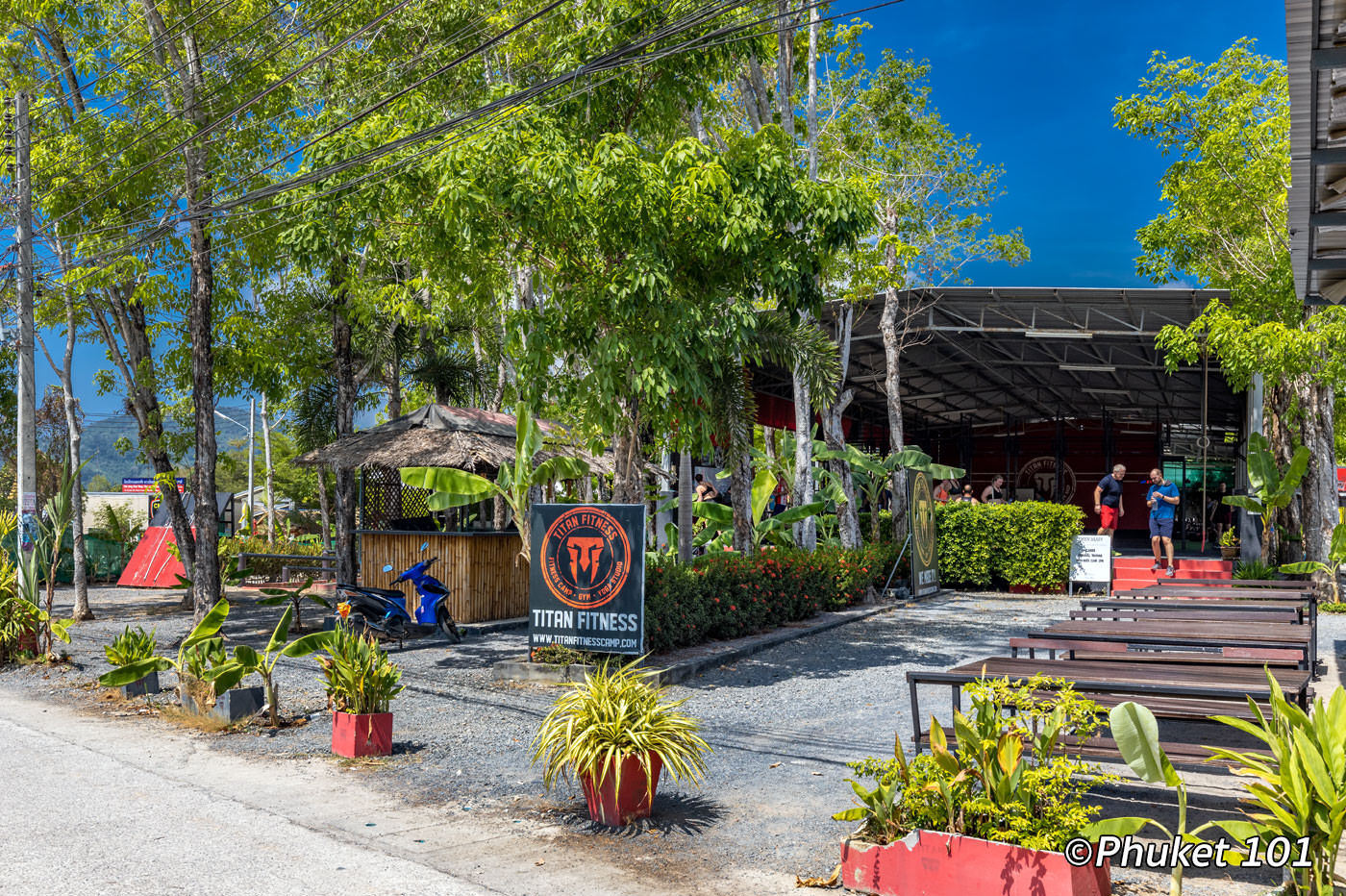 A Lovely Oasis in the Heart of Soi Taied Fighter's Street, Phuket