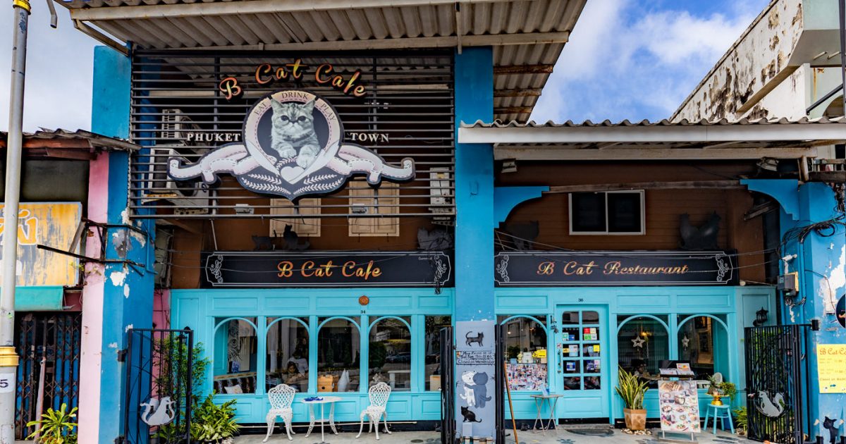 B Cat Cafe in Phuket Town