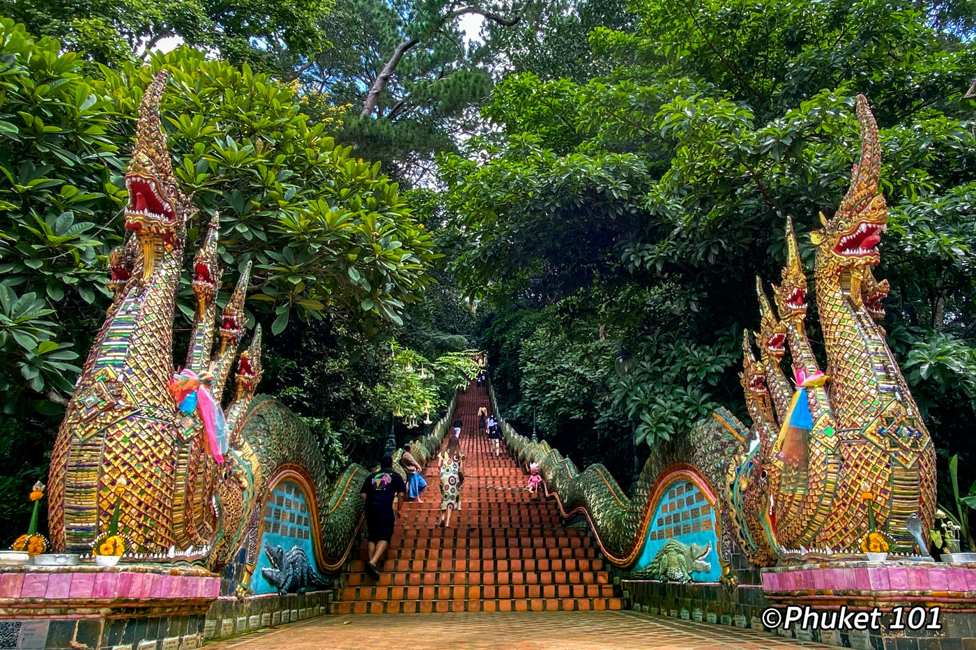 The Stairs at Doi Suthep