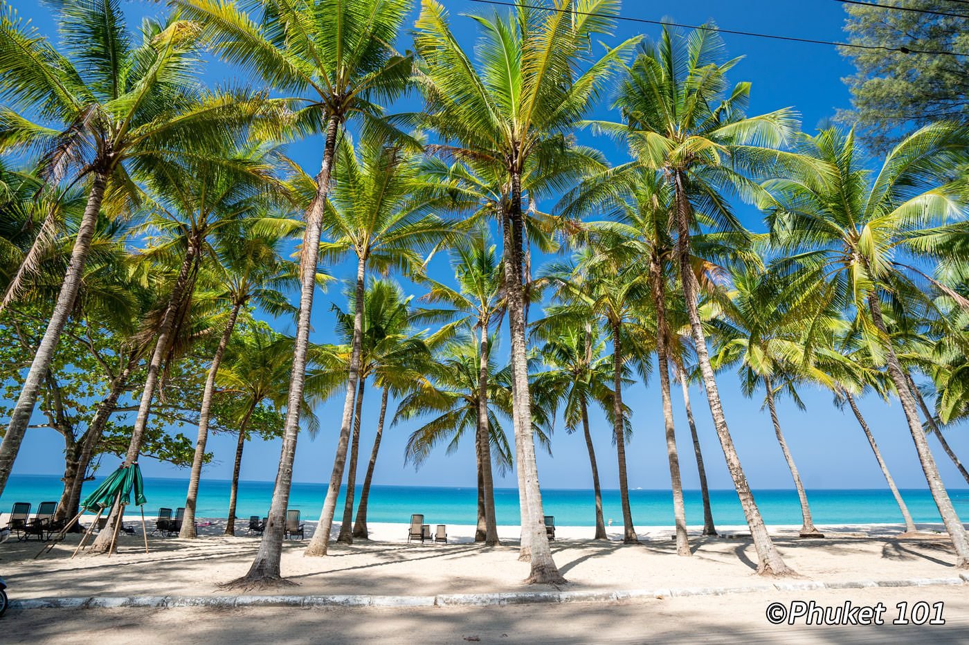 Пляж на пхукете где. Патонг цвет песка. Новый год Пхукет Paradise Beach Phuket. Патонг Бикси. Пляж Патонг 2022.