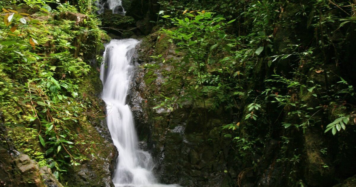 Tonsai Waterfall in Phuket