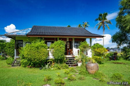 Caffè delle noci di cocco Phuket