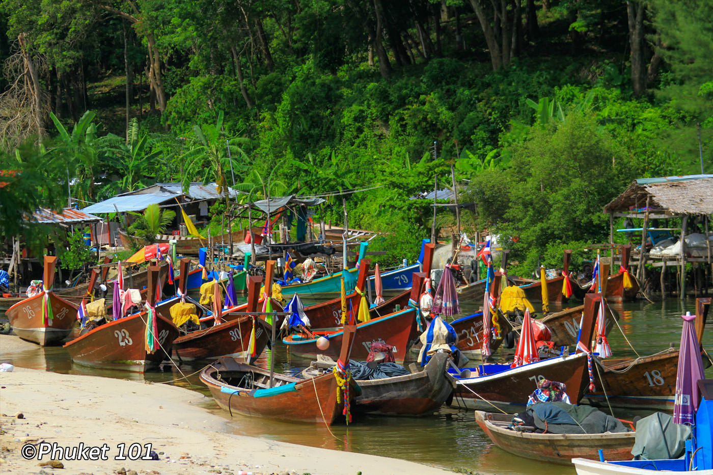 Patong Fishing Village