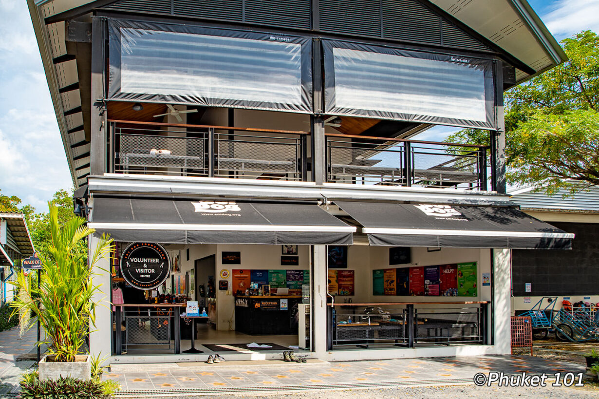 Soi Dog Foundation in Phuket PHUKET 101