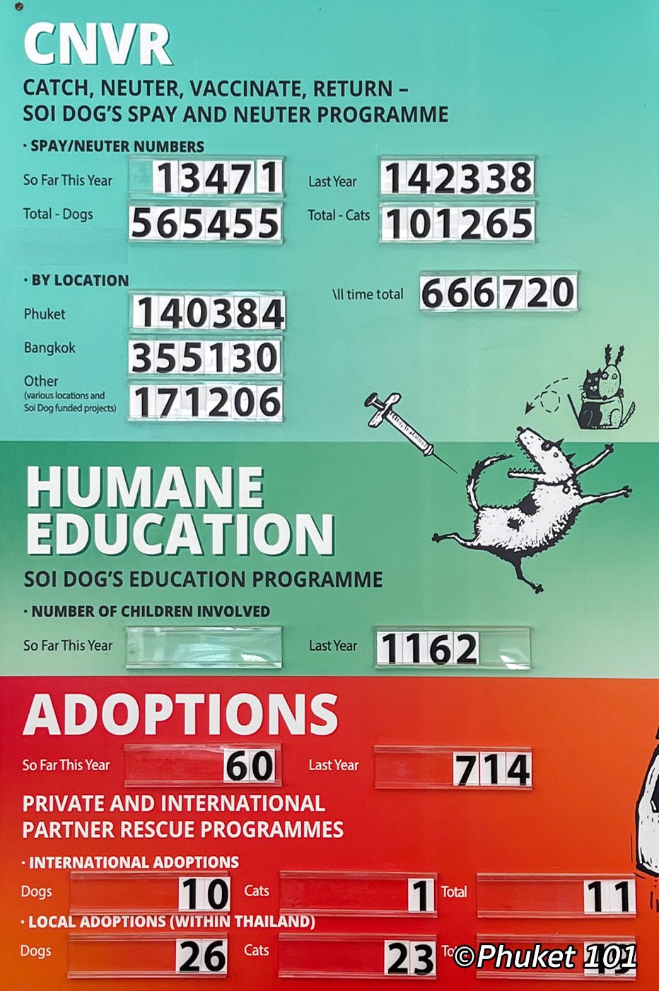 soi dog stats