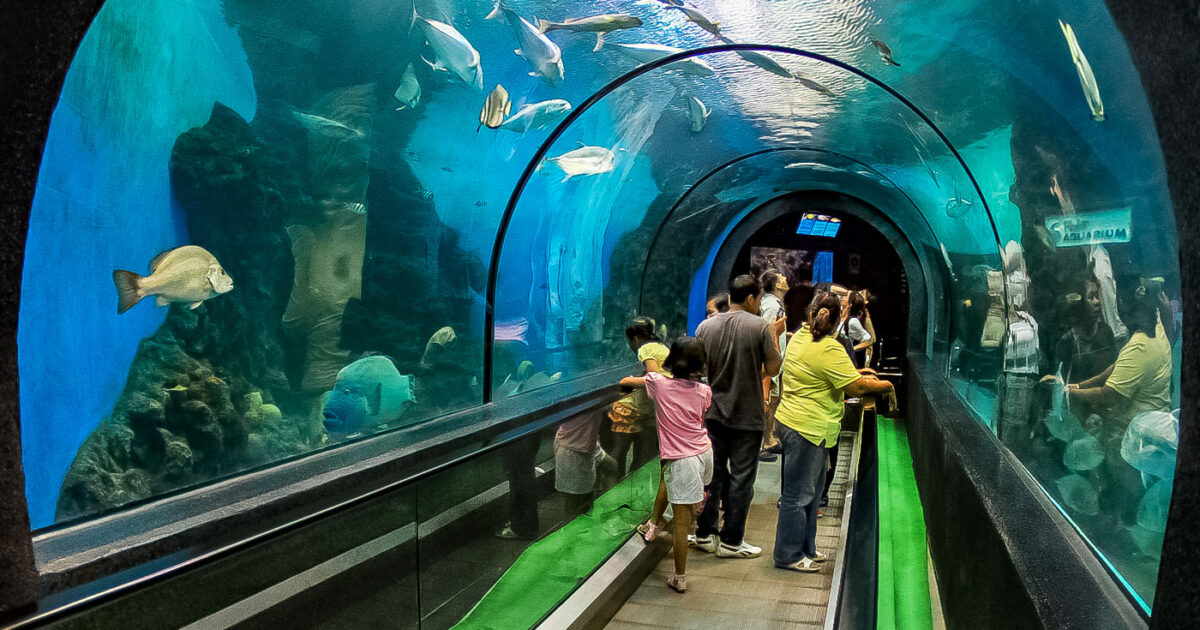Phuket Aquarium
