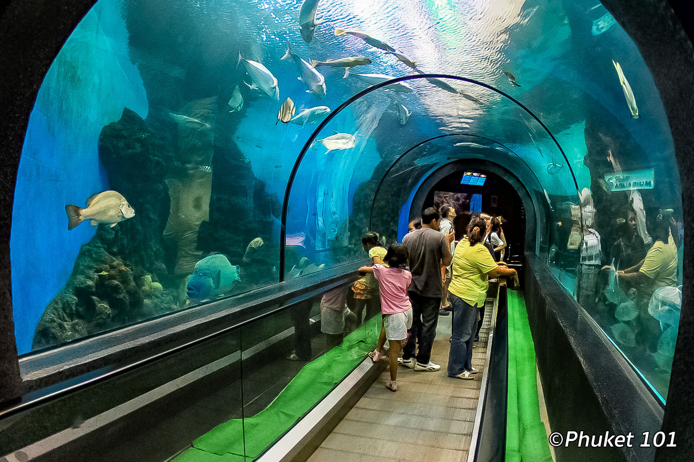 Phuket Aquarium