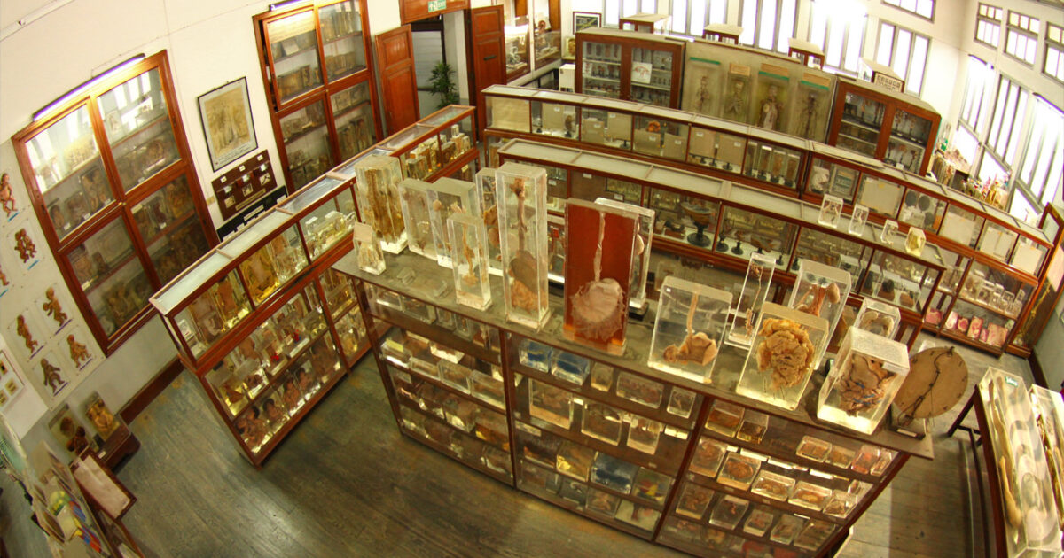 Bangkok Forensic Museum at Siriraj Hospital