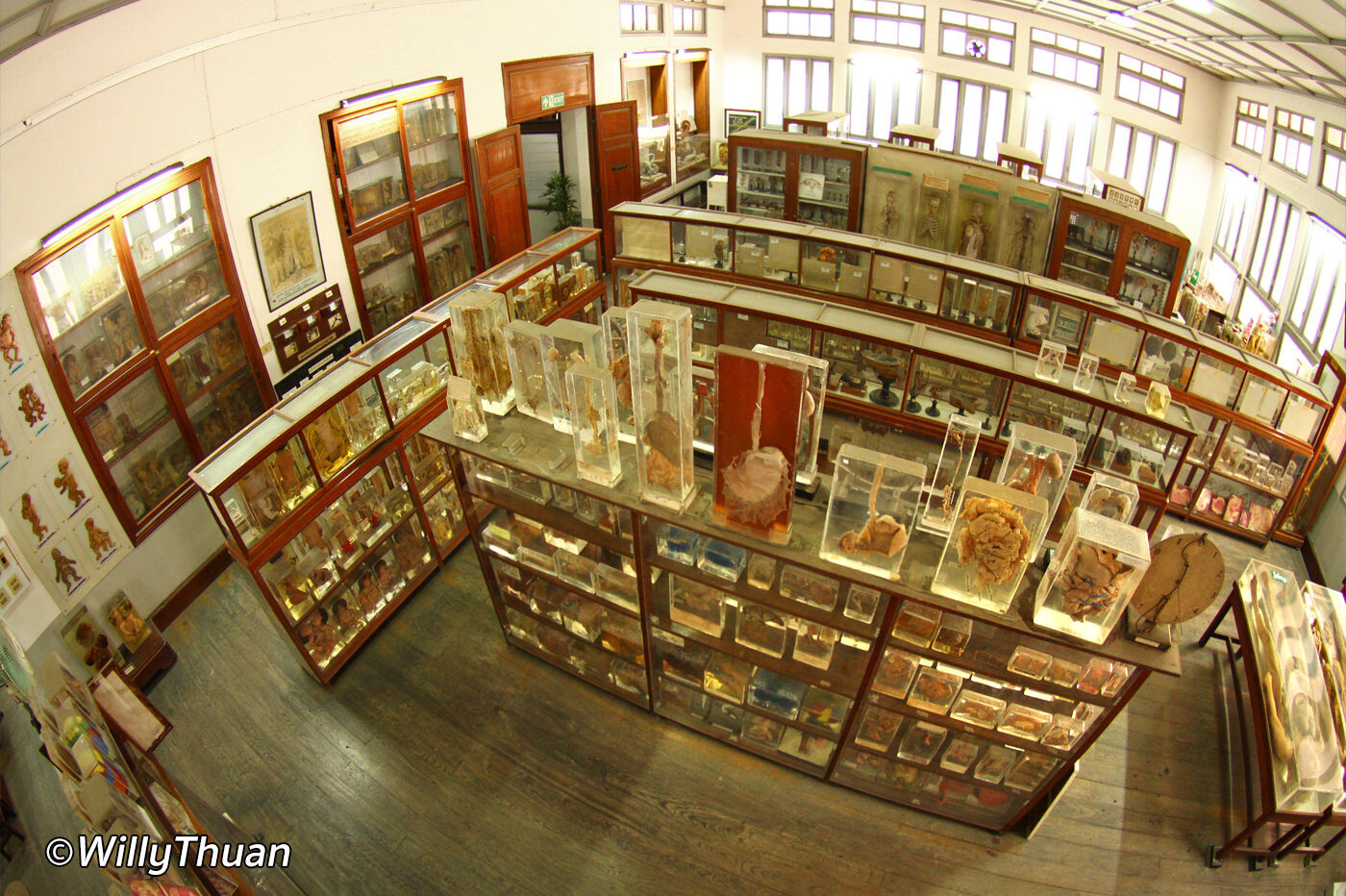 Bangkok Forensic Museum at Siriraj Hospital