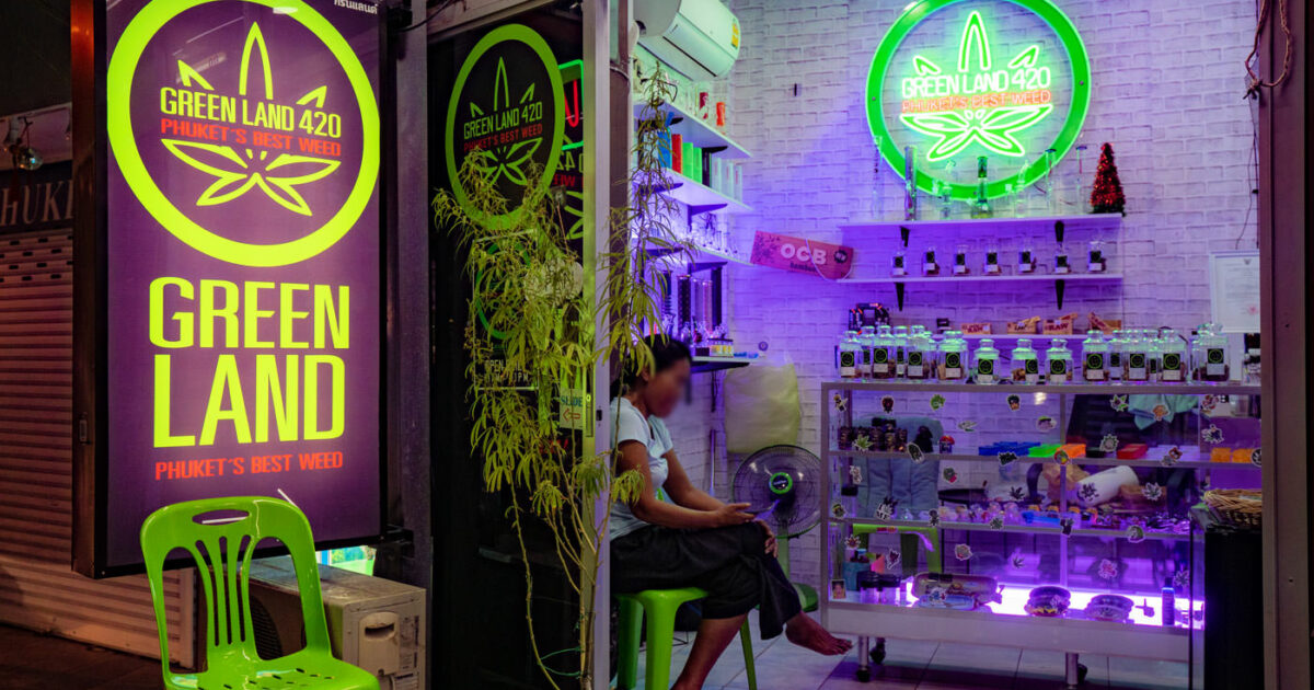 Cannabis in Phuket - What you should know and where to find it?