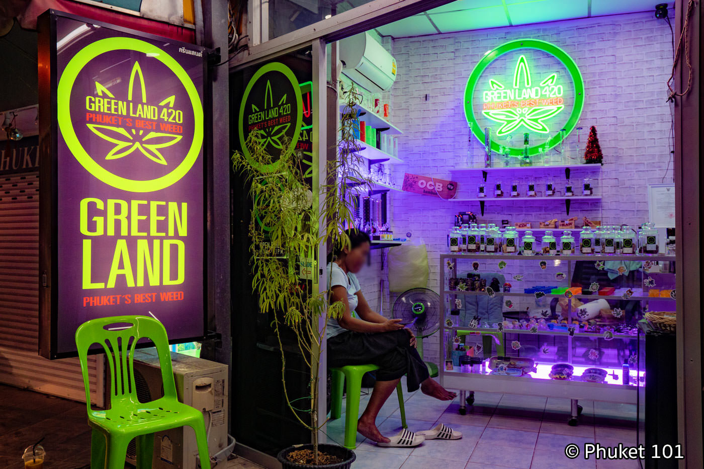 Cannabis in Phuket - What you should know and where to find it?