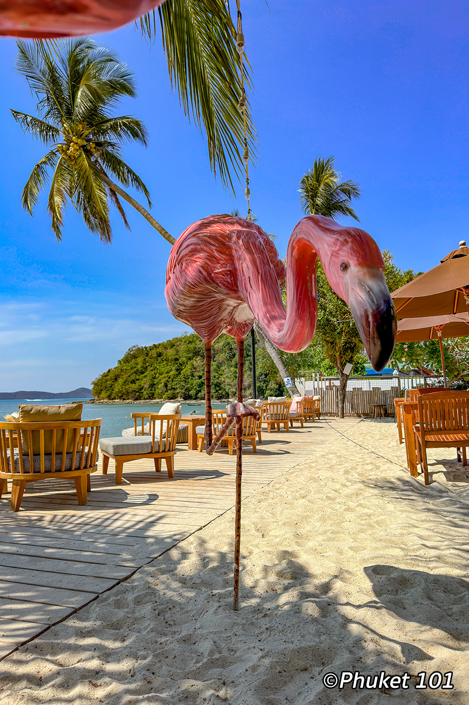 flamingo beach club phuket 4