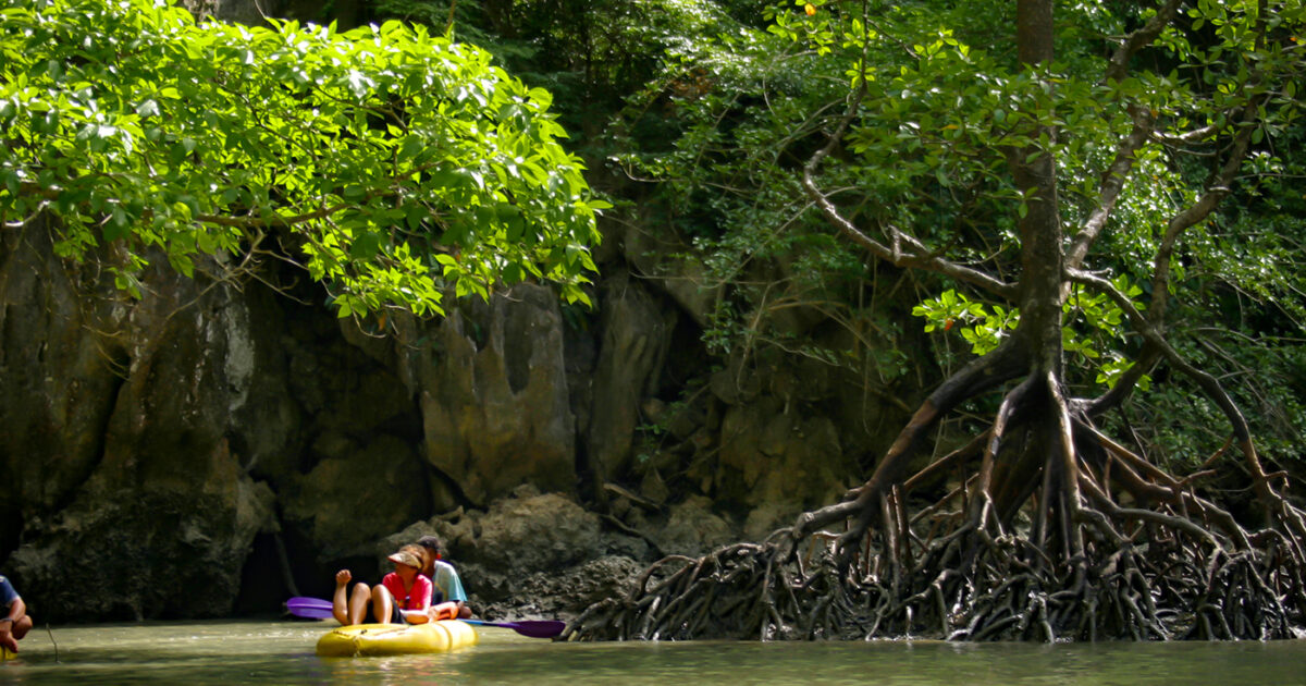 Popular Tours and Day Trips in and around Phuket