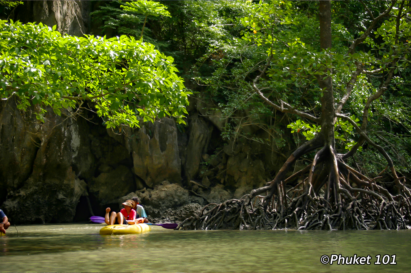 Popular Tours and Day Trips in and around Phuket