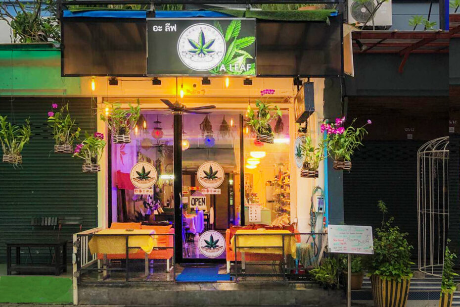 Cannabis in Phuket - PHUKET 101