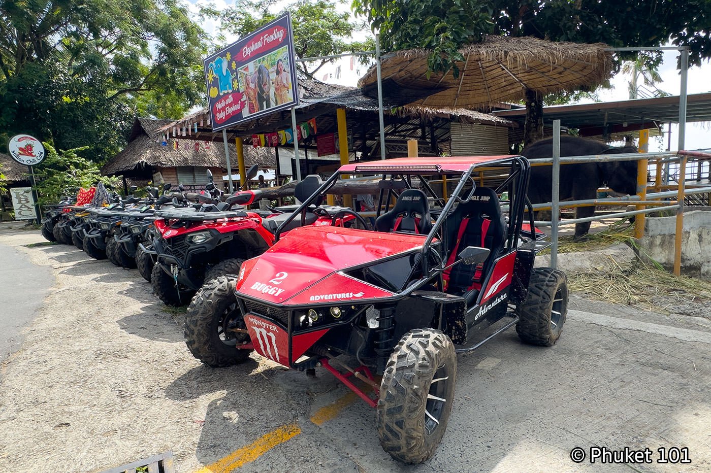 ATV in Phuket, near Phuket Big Buddha