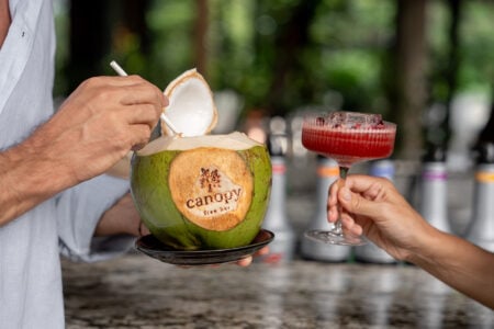 Canopy Tree Bar
