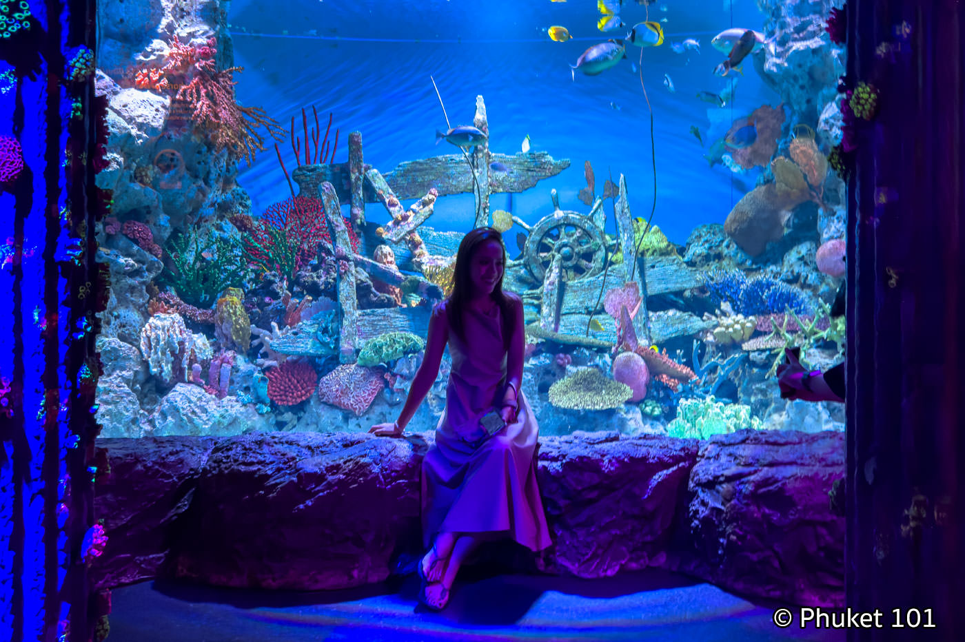 Sealife Ocean World Aquarium
