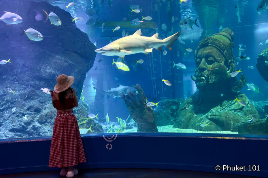 Sealife Ocean World Aquarium