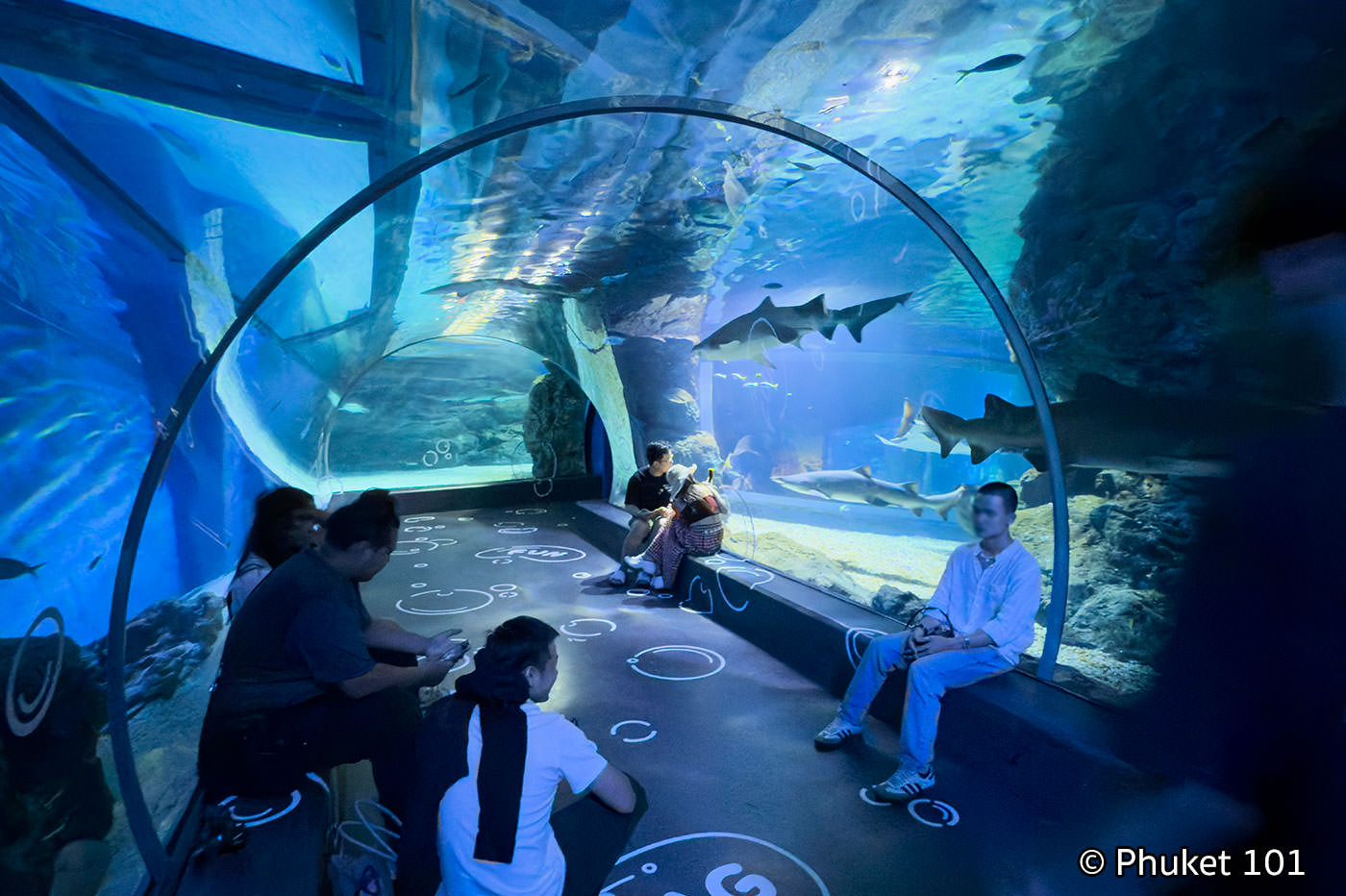 SEA LIFE Bangkok Ocean World