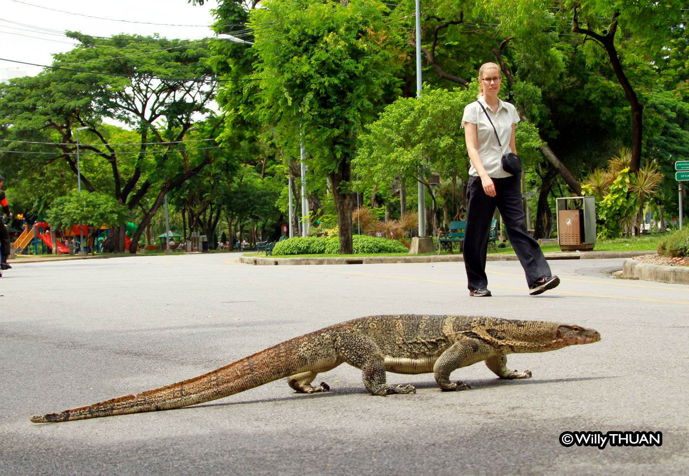 Giant Monitor in Lumphini Park