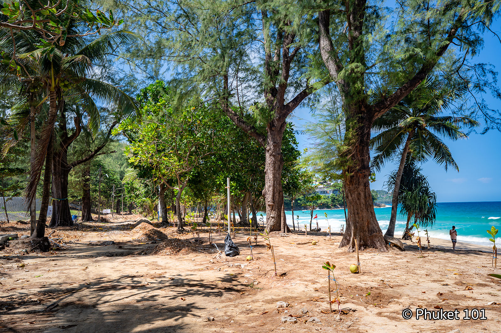Surin Beach ⛱️ 2025 update